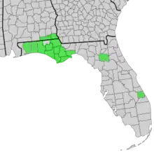 Map of Alabama and Florida with counties of distribution of Symphyotrichum chapmanii shaded in green: Alabama counties — Geneva and Houston; Florida counties — Alachua, Bay, Calhoun, Franklin, Gulf, Jackson, Liberty, Okaloosa, Santa Rosa, St. Lucie, Wakulla, Walton, and Washington