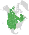 Map of North America with green shading. Data source Brouillet et.al., Flora of North America