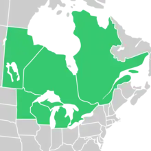 Symphyotrichum robynsianum native distribution: Canada — Manitoba, Ontario, and Québec; US — Michigan, Minnesota, and Wisconsin.
