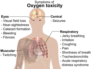 A diagram showing a male torso and listing symptoms of oxygen toxicity: Eyes – visual field loss, nearsightedness, cataract formation, bleeding, fibrosis; Head – seizures; Muscles – twitching; Respiratory system – jerky breathing, irritation, coughing, pain, shortness of breath, tracheobronchitis, acute respiratory distress syndrome.