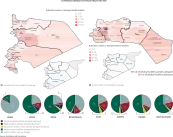 The damage on health sector, assessments are based on actual physical conditions, as seen on the satellite images from January 2017.