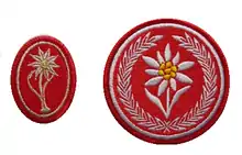 Insignia of the Polish Army Podhale Rifles.