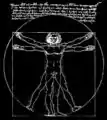 Leonardo's c. 1490 drawing of the Vitruvian Man is used in many contexts, including T-shirts.