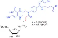 TGDDF / GDDF MAIs where blue depicts the tetrahydrofolate cofactor analogue, black GAR or thioGAR and red, the connecting atoms.