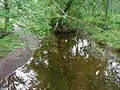 Ten Mile Run crossing Butler Road, in the Butler Road Natural Area