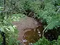 Ten Mile Run crossing New Road