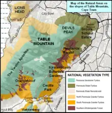 Map showing the conservation areas and forests of the eastern slopes of Table Mountain and the Back table. e.g. Cecilia Park, Kirstenbosch, Newlands Forest,  and Groote Schuur Estate. The north face of the mountain (Table Mountain flanked by Devil's Peak to the east and Lion's Head to the west, as well as the "Twelve Apostles" on the Atlantic side are also shown.