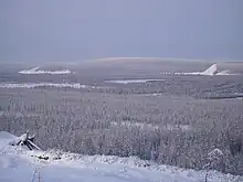The taiga in the river valley near Verkhoyansk, Russia, at 67°N, experiences the coldest winter temperatures in the northern hemisphere, but the extreme continentality of the climate gives an average daily high of 22 °C (72 °F) in July