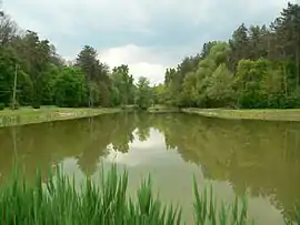 Lake in Tamási