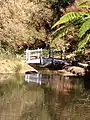 Bridge, Tamborine Mountain Botanic Gardens