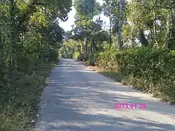 Country Road in Tan Phu