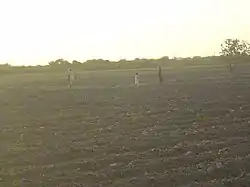 Field in Tando Allahyar district