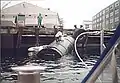 Tank and keel at Long Beach Harbor, California. Don Huseman on the dock and Eric Stocker on the tank.