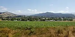 Tapawera township from Shedwood Bush Conservation Area