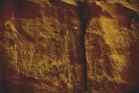 A picture of a very faint drawing of an elephant and a giraffe on a cave wall.