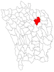 Location in Vaslui County