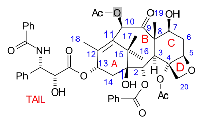 Paclitaxel, a polycyclic natural product with a tricyclic core: with a heterocyclic, 4-membered D ring, fused to further 6- and 8-membered carbocyclic (A/C and B) rings (non-aromatic), and with three further pendant phenyl-rings on its "tail", and attached to C-2 (abbrev. Ph, C6H5; aromatics).