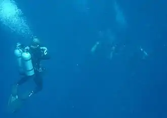 Technical divers at a midwater decompression stop