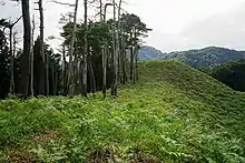 Matsuoka Kofun Cluster