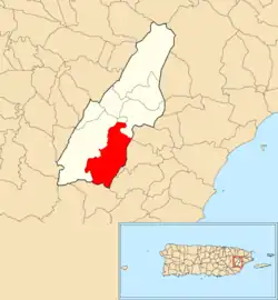 Location of Tejas within the municipality of Las Piedras shown in red