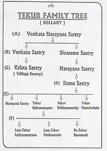 Family tree of Tekur Subramanyam