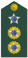 Brazilian Army(Tenente Coronel)
