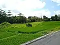 A terraced field