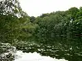 Teufelssee bei Thelkow Nature Reserve