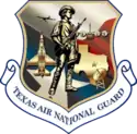 Texas Air National Guard patch