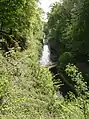 Typical habitat along the Sapperton Valley by canal