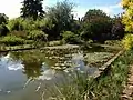 The Lily pond and dye pool