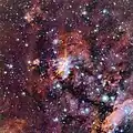 The Prawn Nebula in close-up.