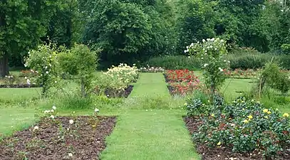 The Rose Garden, Morden Hall Park