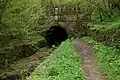 Sapperton banks and canal tunnel entrance