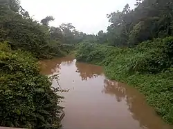 The Tano River