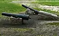 Replicas of the Twin Sisters cannons
