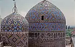 Two cupolas covered in blue, yellow and brown tiles.