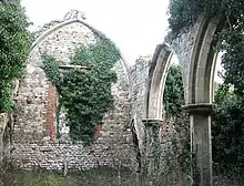 photograph of ruins at Babingley