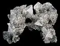 Thénardite, cluster of  transparent crystals from Soda Lake, California. Width of cluster is 9 cm (3.5 in)