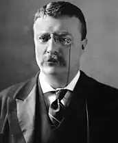 * Theodore Roosevelt
