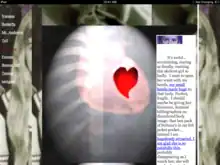 Screenshot showing webpage with several frames, background images, an image of something unclear with a red heart, superimposed text.