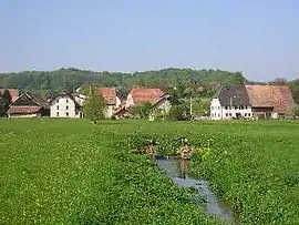 Village overview