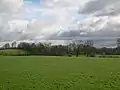 The Thorntoun woodlands from near Kirkland farm, Springside.