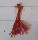 Thread dyed with mangosteen peel