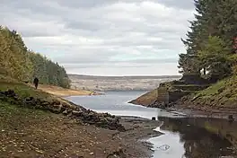 An image of a lake with a very low water level
