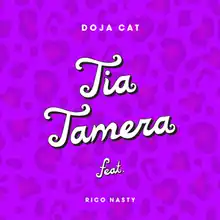 A purple background with a leopard print design overlaid on top. The text at the center reads "Tia Tamera" and is shown in a white, cursive font with a black border. On top of it stands Doja Cat's name, printed in a different, simpler font. Meanwhile, the footer reads "feat. Rico Nasty".