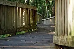 Photograph of part of the boardwalk at Tibet-Butler Preserve