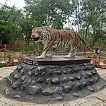 Newly added Tiger Statue.