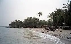 Beach at Al Khawkhah