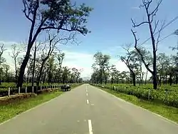 Naharkatia Moran road through Tingkhong Tea Estate